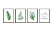 Naklejki na ścianę Obrazy Rośliny WS-0269 (1)