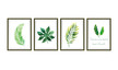 Naklejki na ścianę Obrazy Rośliny WS-0270 (1)