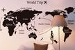 Naklejka na ścianę Mapa świata WS-0045 (3)